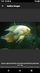 screenshot of Aquarium fish