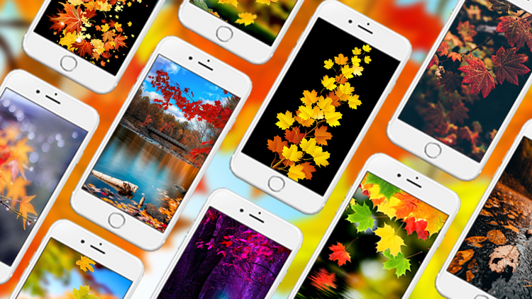 Autumn Wallpapers - 1.0.0 - (Android)