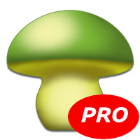 MushtoolPro - Mushroom