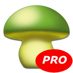 MushtoolPro - Mushroom MOD