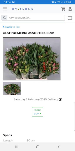 DV Flora Dutch Direct Shop Screen 2