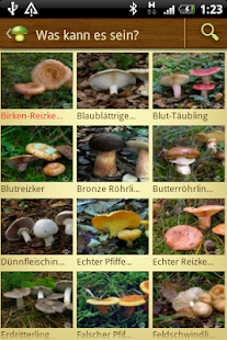 App-Vorschau