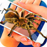 Spider Camera Scary Prank icon