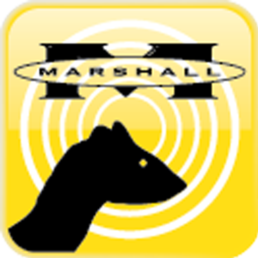 Marshall Pet Ferret Finder