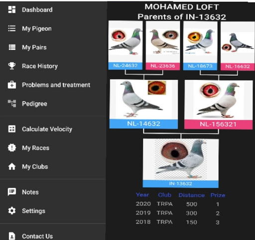 Android application Pigeon Loft Manager screenshort