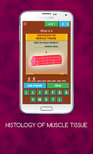 Anatomy Online Quiz Histology Of Muscle Tissue