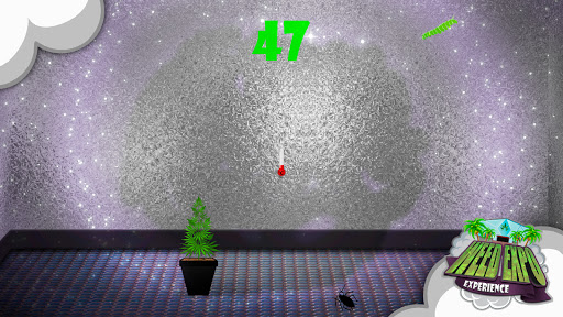 Weed Expo Experience