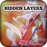 Hidden Layers: Winter Frost icon