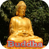 Gautama Buddha Live Wallpaper icon
