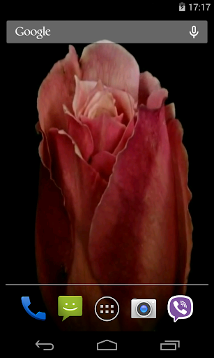 Flowers Video Live Wallpaper Screen 3