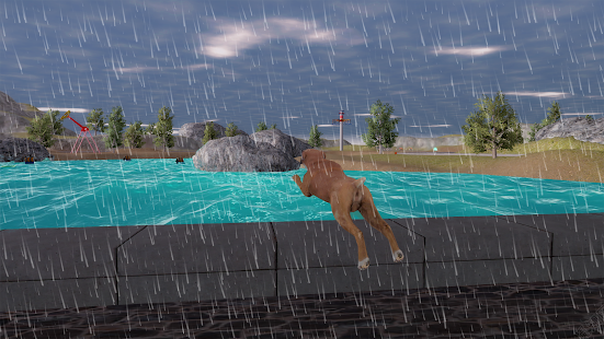 Boxer Dog Simulator 1.1.1 screenshots 23