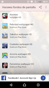 Hurones fondos de pantalla For Pc – Free Download On Windows 10, 8, 7 1