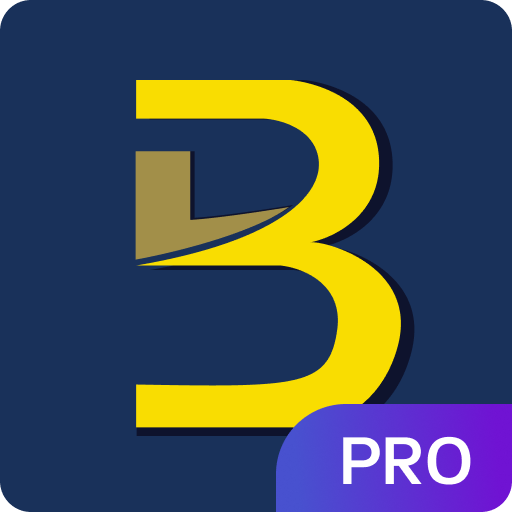 BIG POS logo