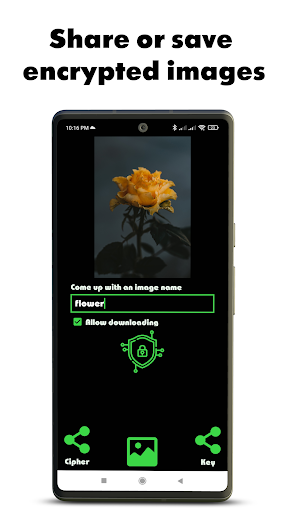 Encrypt msg-text files-images