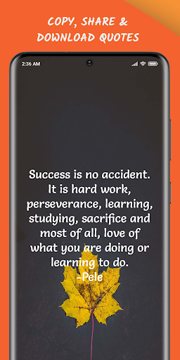 Daily Life Quotes & Lessons Screen 3