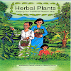 Herbal and Medicinal plants -  icon