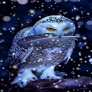 White Owl Live Wallpaper apk