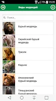 Медведи. Виды медведей. APK 屏幕截图图片 #1