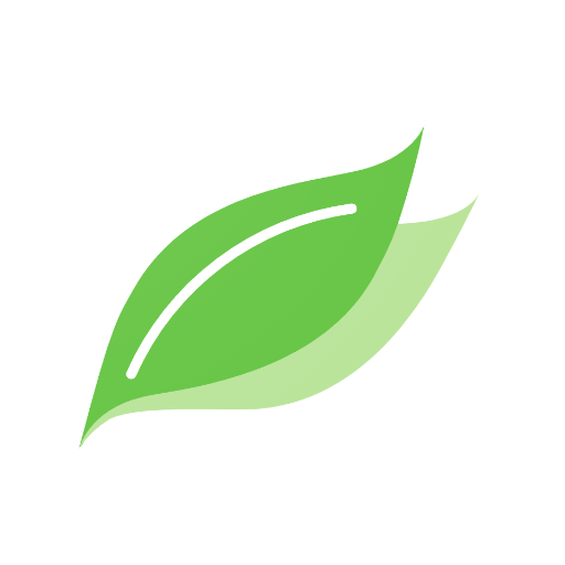 NDS+ logo
