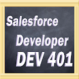 Salesforce Developer DEV 401 icon