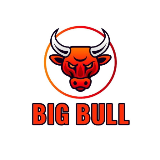 Big bull logo