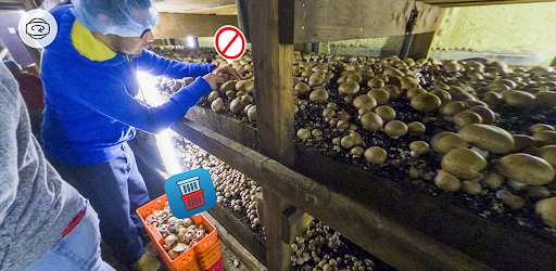 Mushroom Farm Training Screen 2