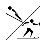 Nordic World Ski Championships - Oberstdorf 2021 icon
