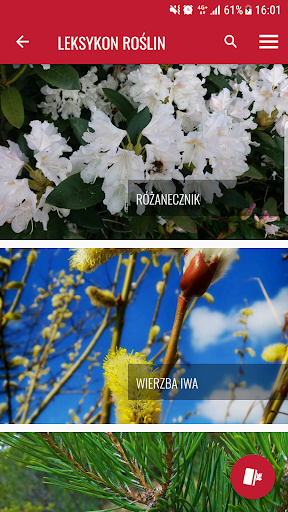 Izerska Łąka Screen 3