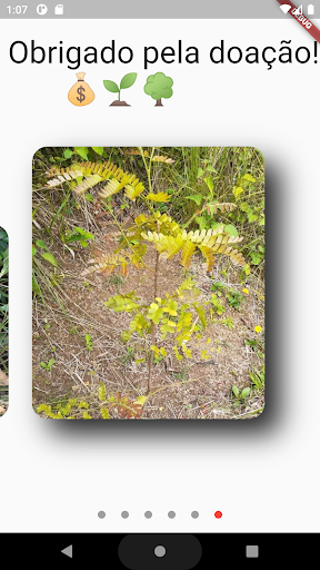 Você tem 1 Real? Floresta Screen 2