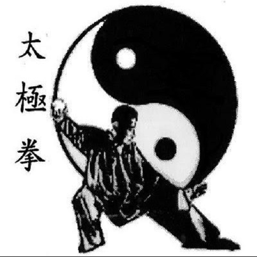 The Best Tai Chi Technique  Icon