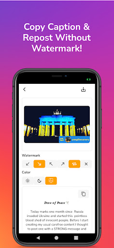 Instant Saver - Repost Screen 3