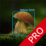 Cover Image of Herunterladen Mushrooms - AI Identifier PRO  APK