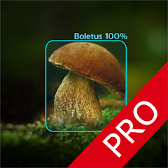 Mushrooms - AI Identifier PRO
