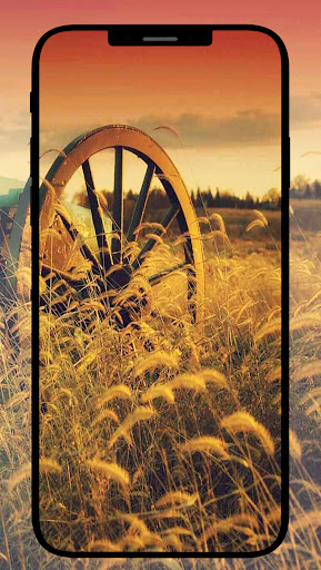 Western Wallpapers Screen 3