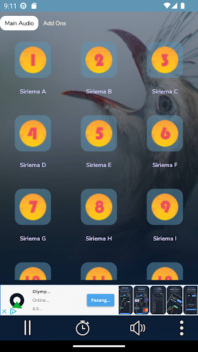 Canto Da Siriema Para Atrair Screen 2