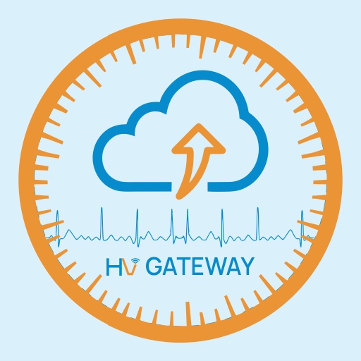 HealthyVibes gateway logo
