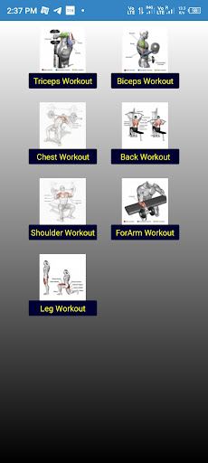 Bodybuilding Fitness Workouts