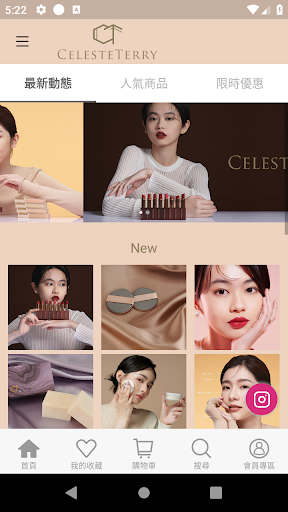 CelesteTerry Cosmetics Screen 3