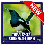 Kacer Stress Mp3 icon