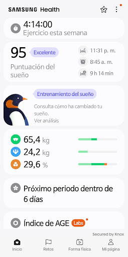 Vista previa de la aplicación