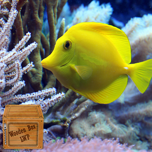 coral fish live wallpaper logo