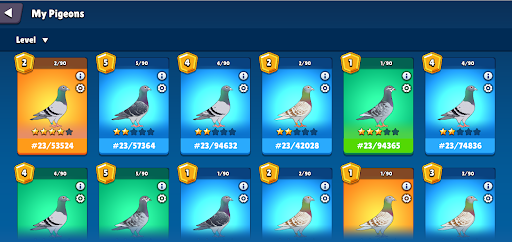 PigeonDash - Pigeon Racing Screen 2