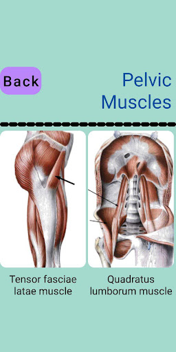 Human Anatomy Explorer Screen 2