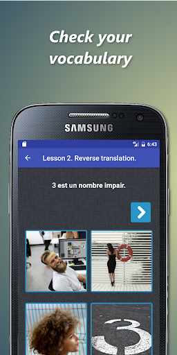 French vocabulary trainer Screen 3
