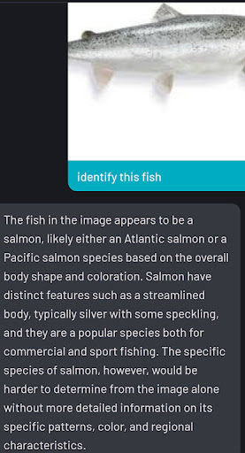 AI help chatbot ask bot chat