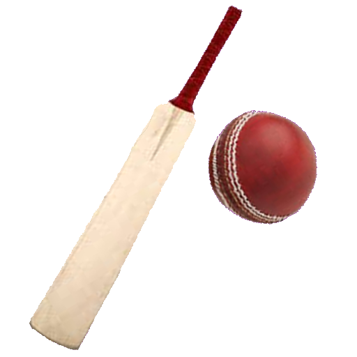 Sports : Cricket Batting logo