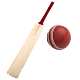 Sports : Cricket Batting Download for PC Windows 10/8/7
