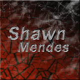 Lyric and Songs Shawn Mendes icon