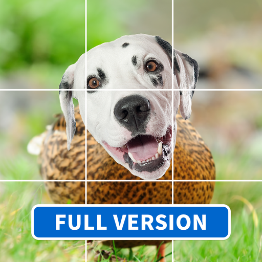 Funny Animal & Dinosaur (full) 1.0.2 Icon