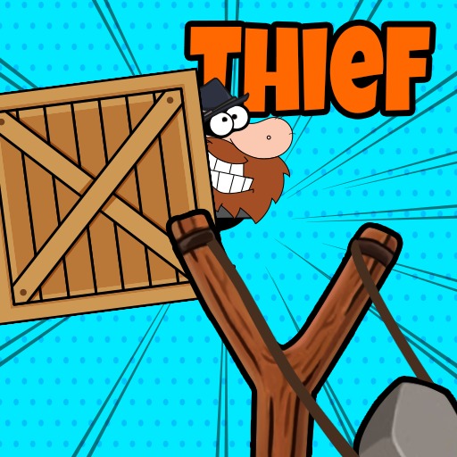 Thief master pro